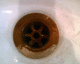 060514.P.Dolphin_camden_t.gif