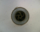 060526.P_Walestrain2_t.gif