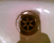 060526.P_pexpres_t.gif