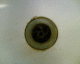 060526.P_walestrain3_t.gif