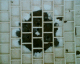 060707.P_Datcha1_t.gif