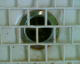 060707.P_Datcha2_t.gif
