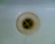 060707.P_Mayakovsky2_t.gif
