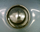 060818.P_Cern2_t.gif