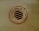 060818.P_Swiss1_t.gif