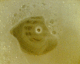 060818.P_restaurant1_t.gif