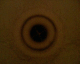 061008.P_Dom_t.gif