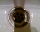 061115.dancehouse_plug_t.gif
