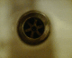 070203.P_Brighton_t.gif