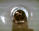 070209.P_Brit233_t.gif