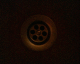 070304.P_laura_t.gif