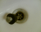 070317.Plughole_Tate_t.gif