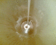 070807.plug_paris2_t.gif