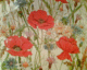 060716.poppy1_t.gif