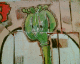 070630.poppy_t.gif