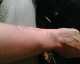 050724.notemin_t.gif