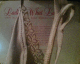 050727ladies_t.gif