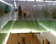 050813.tate1_t.gif