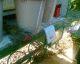 050920.4jeff_t.gif