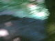 051010.Avebury7_t.gif