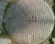 051107.moscow22_t.gif