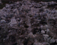 051107.moscow25_t.gif