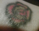 060115.Scaley_Tat_t.gif