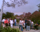 060128.rainbow_t.gif