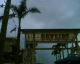 060130.Florida5_t.gif