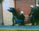 060131.PowerCulture1_t.gif