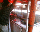 060204.horse_head_t.gif