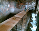 060206.diego_rivera_t.gif