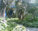 060207.F'sHouse_t.gif
