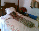 060207.Frida'sbed_t.gif