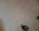 060207.Trotsky_shots_t.gif