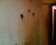 060207.trotsky_shots2_t.gif