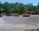 060405.Zoomex14_t.gif