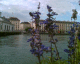 060818.R_Bee2_t.gif