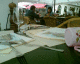 060818.R_Sparrows_t.gif
