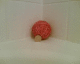 060228.redbands_t.gif