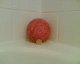 060516.red_bands_t.gif