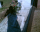 051005.shadow2_t.gif