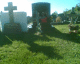 051005.shadow4_t.gif