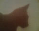 051028.pushshadow_t.gif