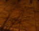 060104.shadow_t.gif