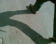 060323.shadow1_t.gif