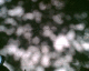 060404.S_Frida's2_t.gif