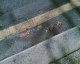 060502.sick_t.gif