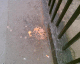 060506.sick_t.gif