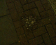 060815.sick_t.gif